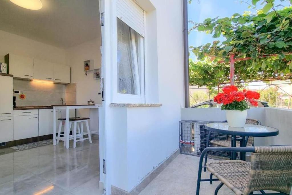 App Racy Apartment Umag Ngoại thất bức ảnh